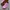 VANS AUTHENTIC X OPENING CEREMONY “QUILTED PURPLE” photo 3