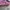 VANS AUTHENTIC X OPENING CEREMONY “QUILTED PURPLE” photo 4