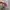 VANS AUTHENTIC X OPENING CEREMONY “QUILTED PURPLE” photo 5