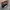 VANS OLDSKOOL LOTERIA PATCHWORK “LOS” photo 6