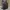Authentic Longchamp Club Backpack photo 2