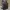 Authentic Longchamp Club Backpack