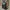 Authentic Longchamp Club Backpack photo 1