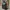 Authentic Longchamp Club Backpack