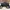 Authentic Longchamp Club Backpack photo 6