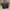 Authentic Longchamp Planetes Medium Short Handle photo 1