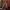 voom sec photo 7