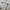 Casual Crop top Wanita white photo 2