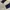 NIKE Sportswear Tech Fleece Joggers MEDIUM photo 3