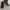 Nike Air Jordan Casual Sneakers Pria black photo 1