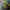 TOPI JOHN DEERE MUSTANG EQUIPMENT 
