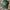 TOPI JOHN DEERE MUSTANG EQUIPMENT 
 photo 1