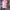 TOPI TAYLORMADE PINK 
 photo 1