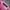 TOPI TAYLORMADE PINK 
 photo 6