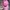 TOPI TAYLORMADE PINK 
 photo 5