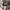 TOPI REALTREE CAMO photo 4