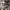 TOPI REALTREE CAMO photo 6