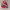 Yonex power cushion aerus 3 photo 1