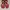 Yonex power cushion aerus 3 photo 4