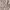 Japanese brand Cottagecore Coquette Babydoll dress Wanita multicolor photo 4