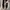 VANS ERA PRO SKATEBOARDING NOT CONVERSE NIKE ADIDAS photo 3