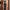 Apple Watch SE photo 7