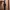 Apple Watch SE photo 8