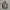 VEST REALTREE FIELDCORE SIZE M photo 1
