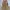 Selop Mules Yellow 39 photo 6