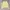 Cardigan Ralph lauren Baby yellow photo 1