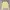 Cardigan Ralph Lauren Baby Yellow
