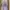 KAOS VINTAGE HARRY POTTER HERBOLOGY photo 1
