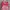 Dress Midi Leher Congsam Motif Batik Preloved photo 3