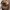 TOPI CATERPILLAR (CAT) BASEBALL 
 photo 5