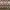 Hip Olive Green Navajo Pattern Knitwear  photo 5