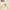 Burberry Minimalist Casual Puffer Jacket Wanita Cream