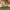 Adidas SL 72 RTN White photo 8