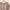 Korean Crop Vest Brown Ehka Sopo photo 2