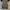 Converse One Star Melon Baller photo 7