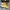 Converse One Star Melon Baller photo 1