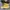 Converse One Star Melon Baller photo 3