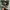 Converse Allstar Hacked Fashion photo 2