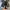 Converse Allstar Hacked Fashion photo 6
