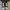 Converse Allstar Hacked Fashion photo 5