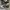 Converse Allstar Hacked Fashion photo 1