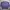 Crewneck Ben Davis