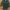Uniqlo Wool Coat Charcoal photo 1