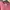 Covernat Casual Sweater Pria pink photo 3