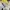 marutu.inc Luxury Casual shirt Pria multicolor photo 2