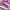 Asics Magic Speed 4 photo 2